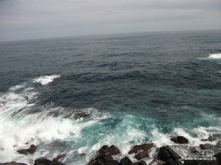 zzena-30-03-2013 12-37-48